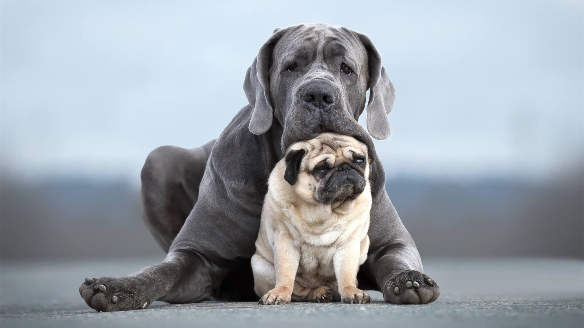 勇士新秀完成签约家人现场见证激动落泪,2020nba勇士新秀
