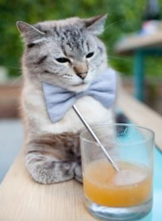 国家队训练营设置激励机制提升球员内部竞争力,国家队训练模式