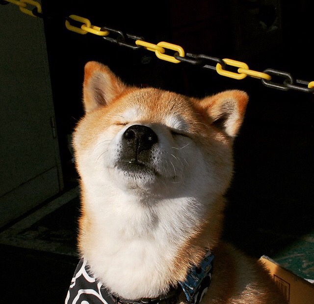 塔图姆主场爆发带领凯尔特人复仇快船,塔图姆27分凯尔特人胜猛龙