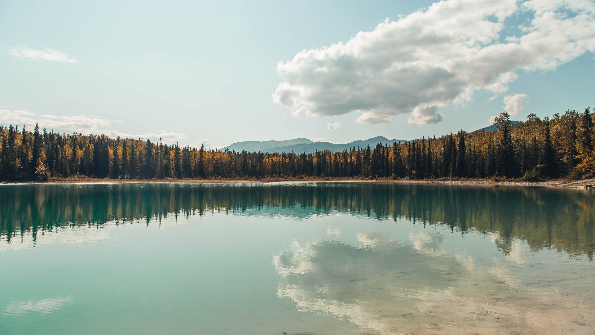 尼克斯第二节得分暴涨打出绝佳开局,尼克斯首轮前两场比赛门票售罄