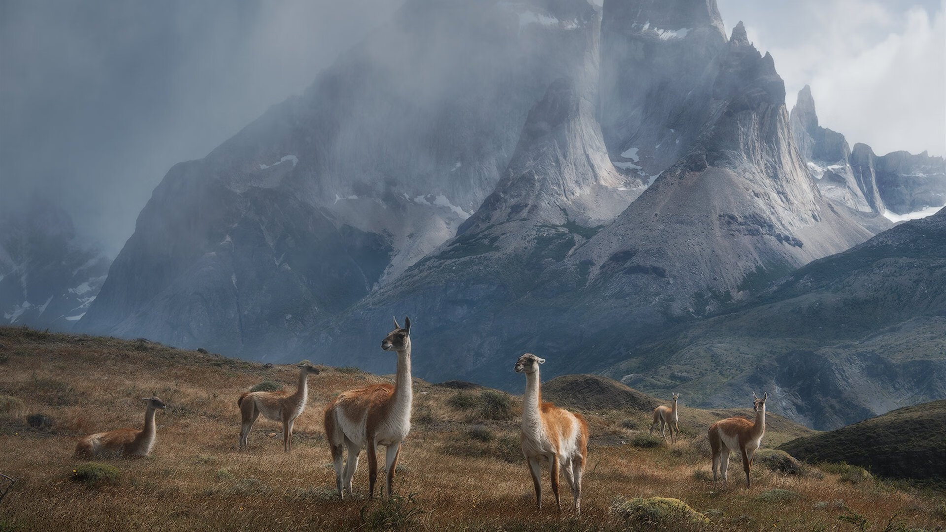 数据分析部门介入战术准备用科技赋能教练决策