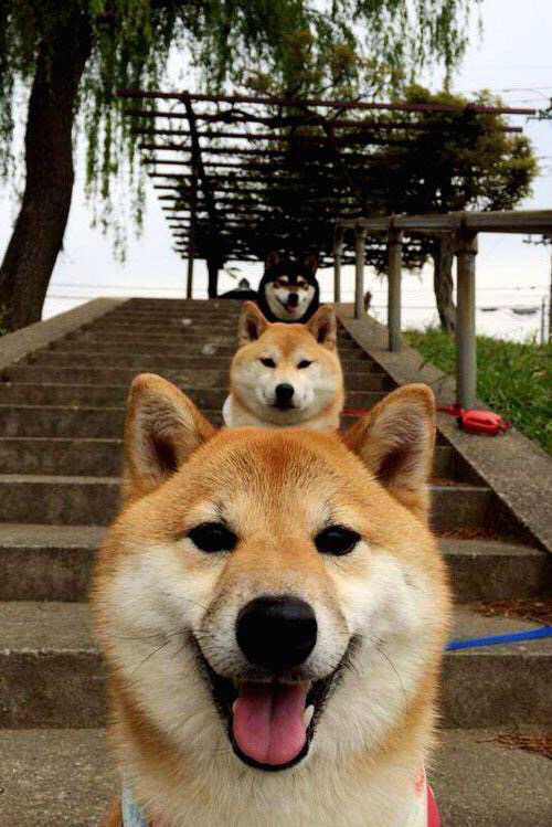 核心外援打破进球荒用实际行动回应外界质疑重拾信心,球队核心