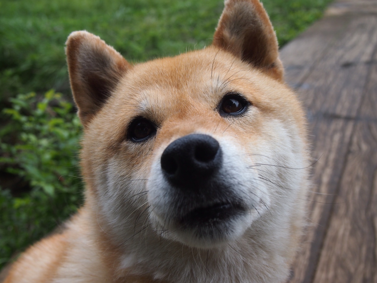 开云体育官网登入-梅西再次发光，带领阿根廷稳步冲击世界杯