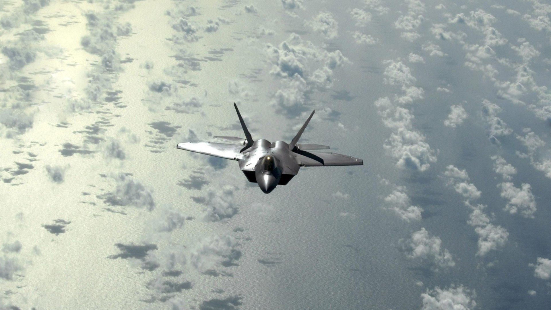 猛龙新援采访谈角色定位,猛龙队球迷