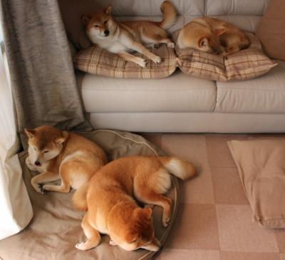 开云体育在线入口-皇马主场逆转完成晋级大戏，皇马主场换了吗